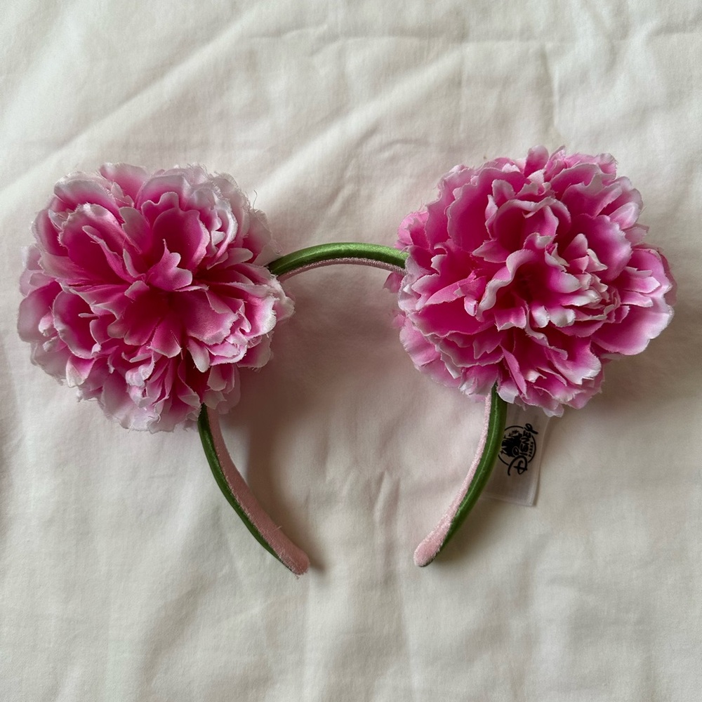 Disney Ears